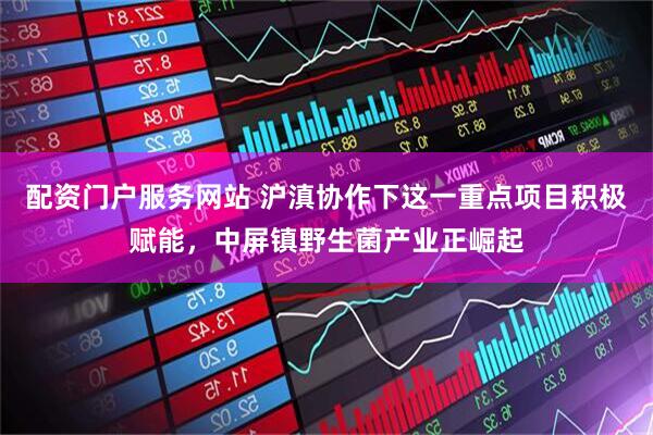 配资门户服务网站 沪滇协作下这一重点项目积极赋能，中屏镇野生菌产业正崛起