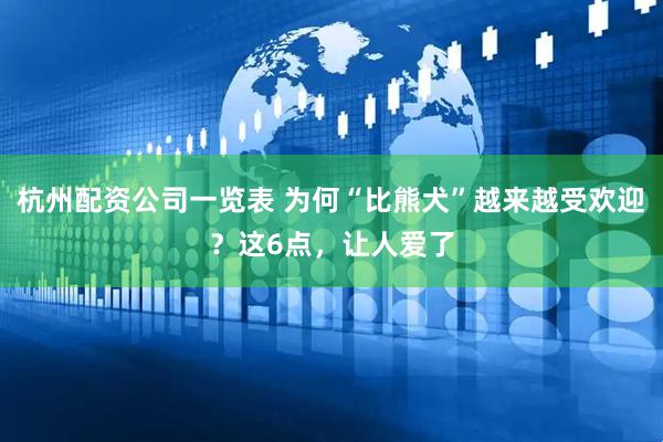 杭州配资公司一览表 为何“比熊犬”越来越受欢迎？这6点，让人爱了